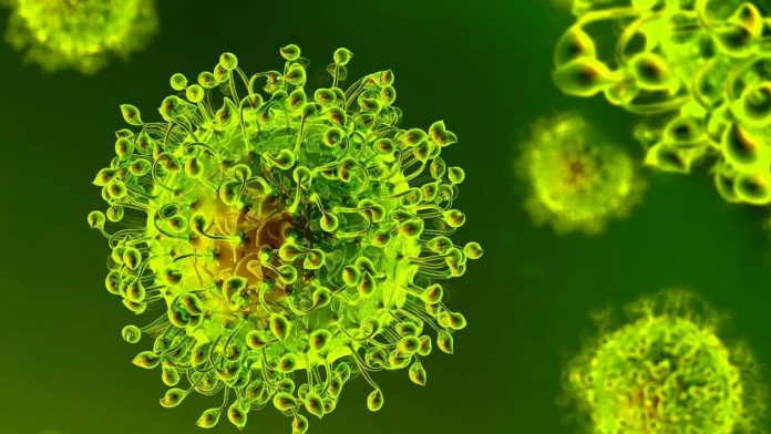 coronavirus