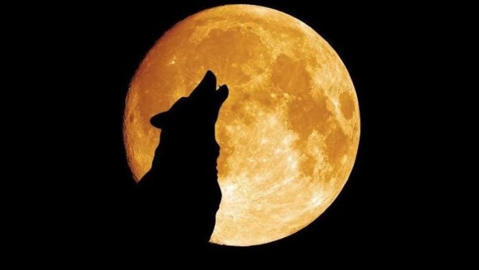 luna llena del lobo