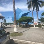 pez vela centro manzanillo