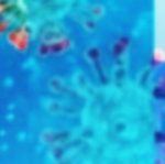 banner principal coronavirus 2