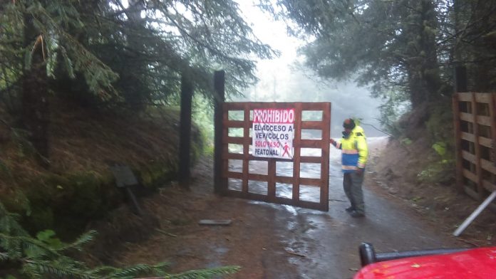 cerrado paso al nevado