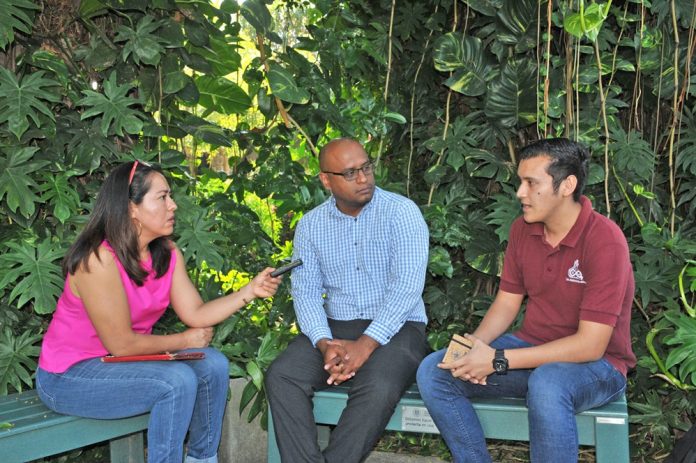 Serán farmacéuticos quienes entreguen y vendan los medicamentos