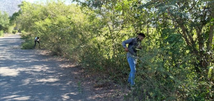 mantenimiento carreteras ixtlahuacan