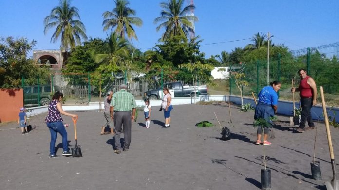 reforestacion kinder de cuyutlan