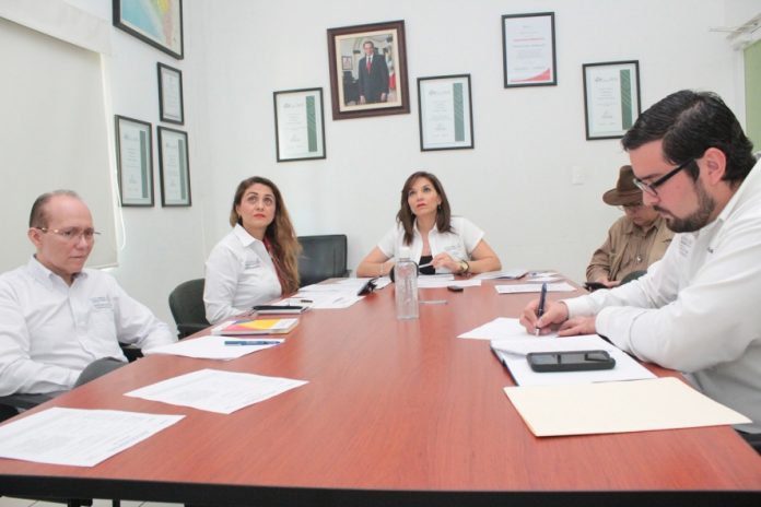 Avala Consejo de Seguridad en Salud reforzar aislamiento preventivo