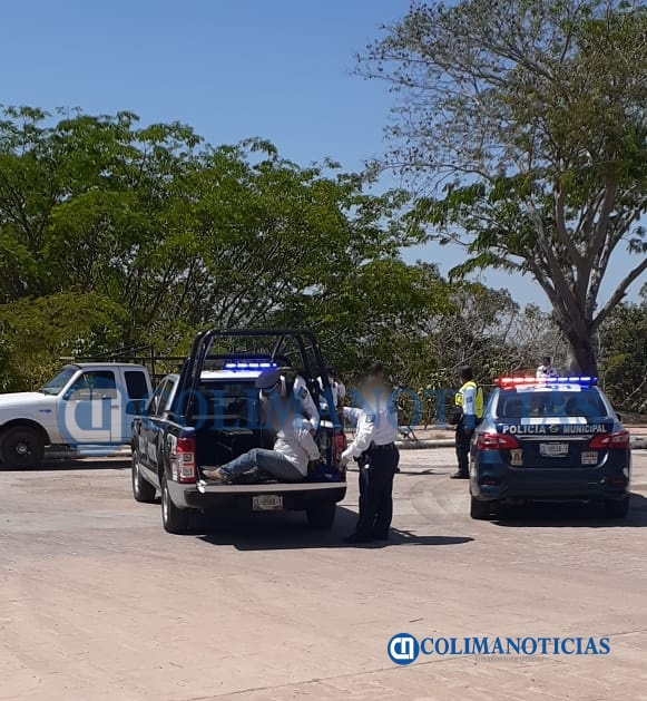 Detienen a una persona por talar parotas en Residencial Valle Verde