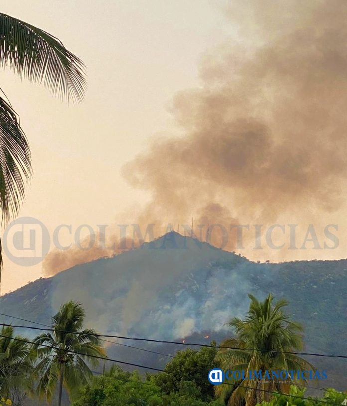 incendio forestal en manzanillo