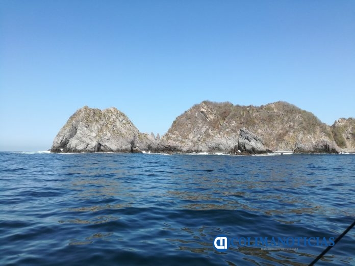 Detectan marea