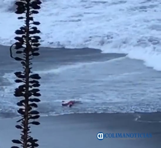 ahogado en playas