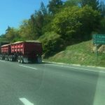 carretera colima