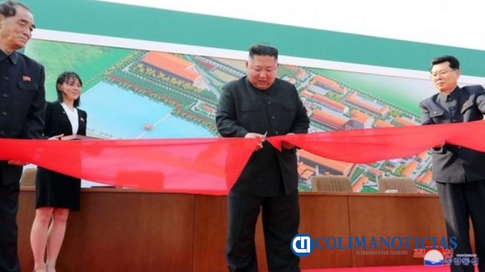 kim