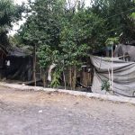 pobreza en colima