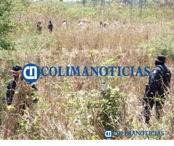 restos humanos en predio de Tecomán