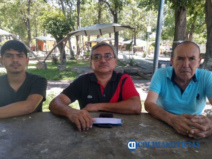 Anuncian proyecto para rescatar enjambres de abejas