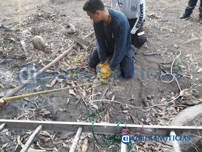 Rescata PC Manzanillo cocodrilo hembra que estaba en un pozo