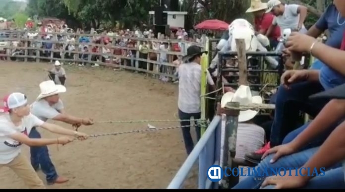 Denuncian presunta jaripeada