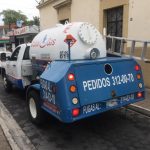 global gas archivo