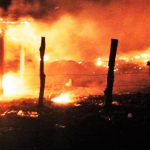 incendio manzanillo