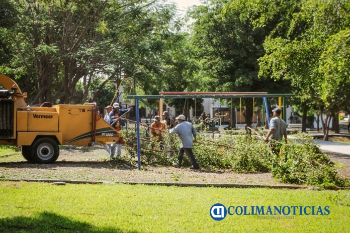 limpieza colima por ayuntamiento