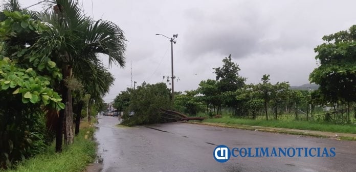 Autos atascados, árboles caídos, encharcamientos y deslaves ha dejado la Tormenta 'Hernán' en Manzanillo45