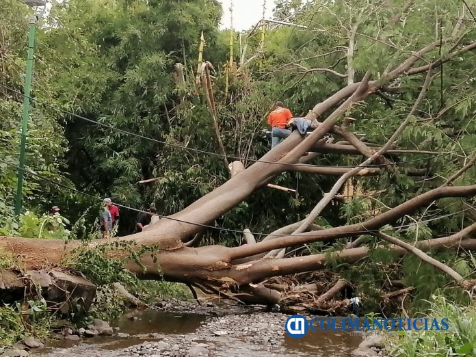 Ayuntamiento de Colima continúa atendiendo daños ocasionados por las lluvias