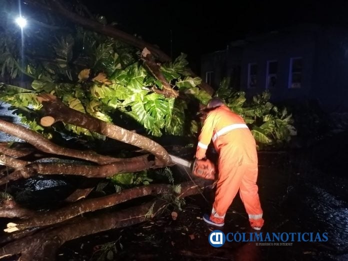 Causa ‘Hernán’ caída de Parota y obstrucción de carretera en Ixtlahuacán 00