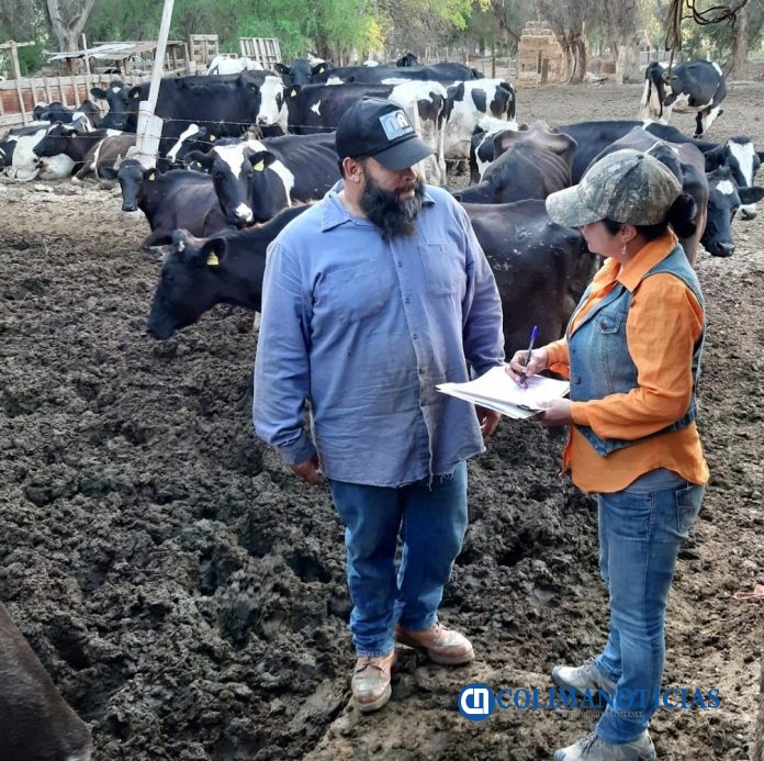 Egresada UdeC realiza investigación con productores lecheros de Mexicali_Heidy Sughey Gama_a