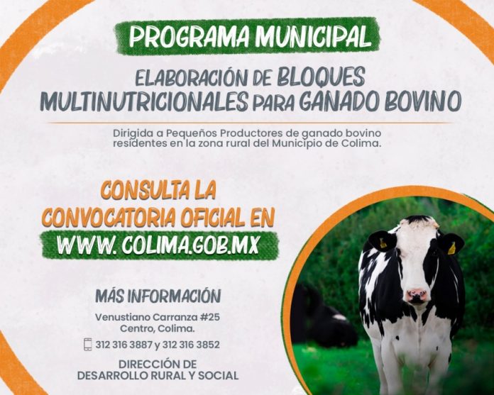 Programa Municipal de Bloques Multinutricionales para Ganado Bovino