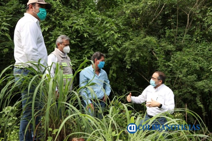Tormenta 'Hernán' deja afectaciones en cultivos de plátano
