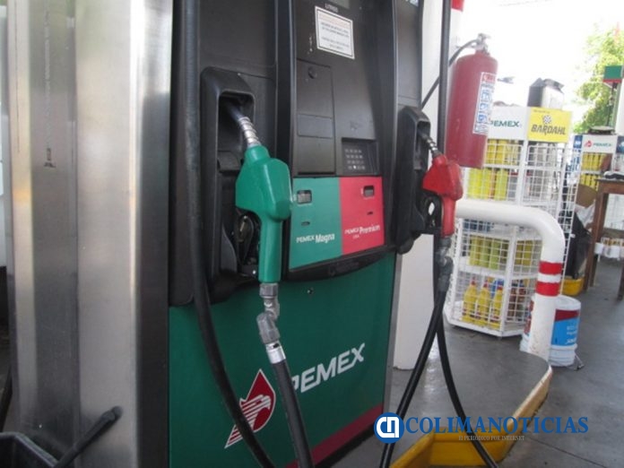 gasolina