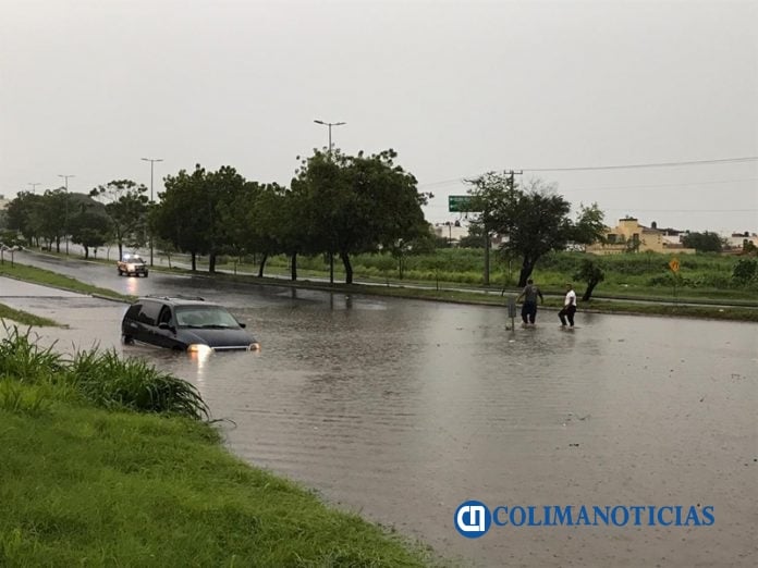inundación los perritos