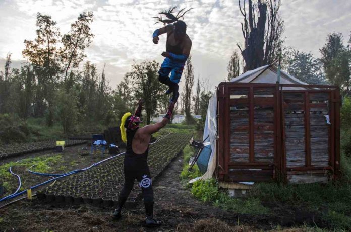 luchadores