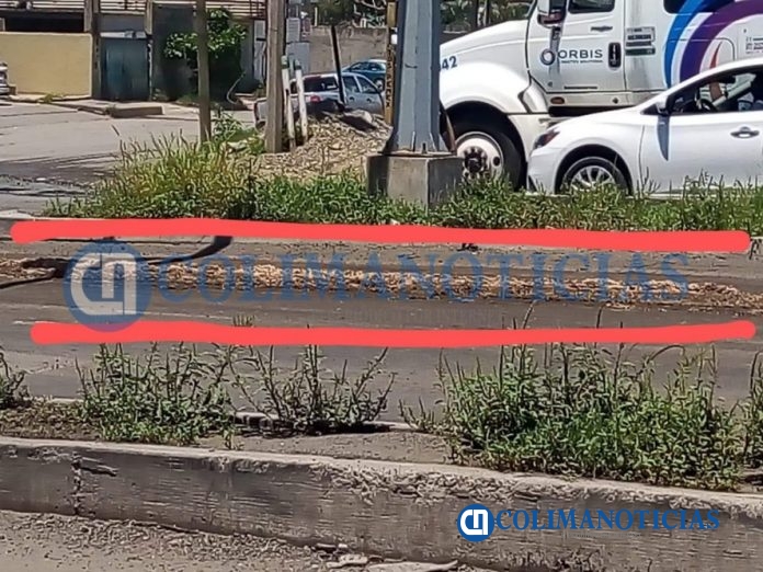 Camión de Marindustrias vierte desechos y lixiviados por la carretera de acceso al municipio (1)