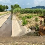 Canal Alpuyeque Colima 1