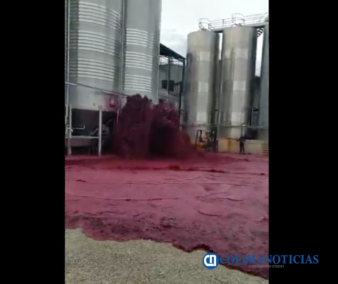 Revienta depósito y se desperdician litros de vino en España
