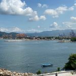 api puerto de manzanillo contenedores