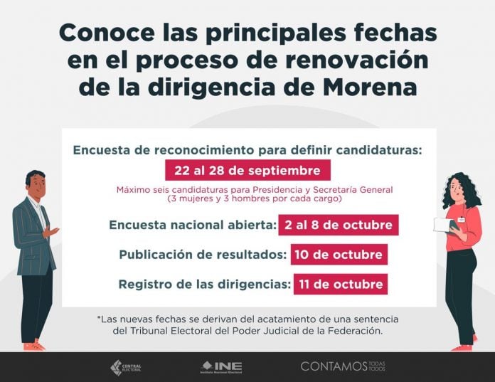 ine lineamientos