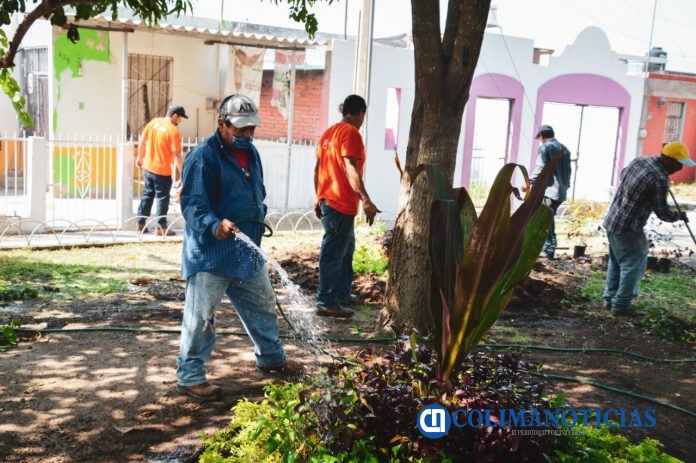 Mantenimiento y limpieza de espacios públicos en el municipio de Colima