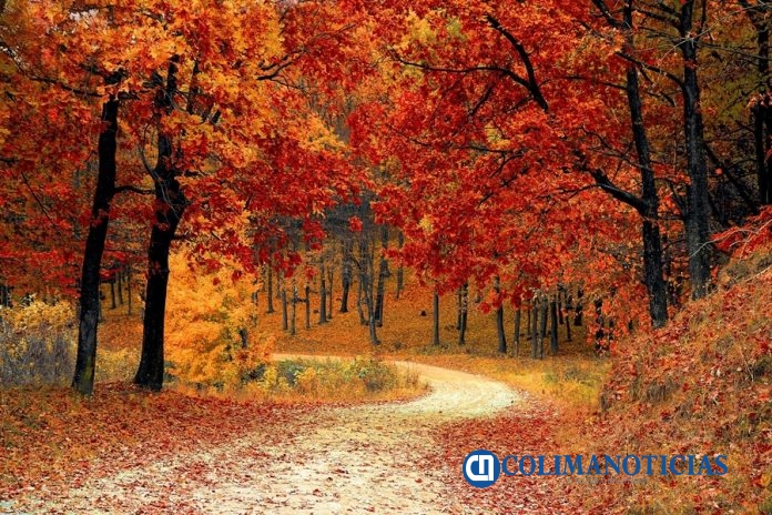 OTOÑO