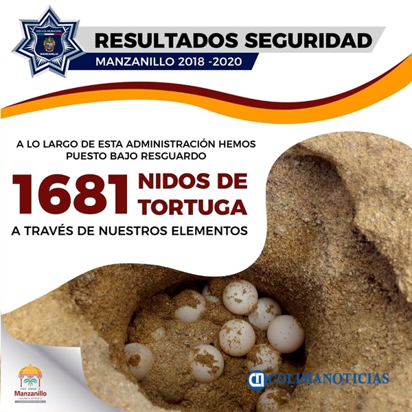 ayto Manzanillo huevos