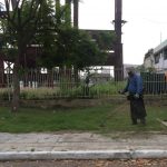 desbrozadora desmonte de baldio