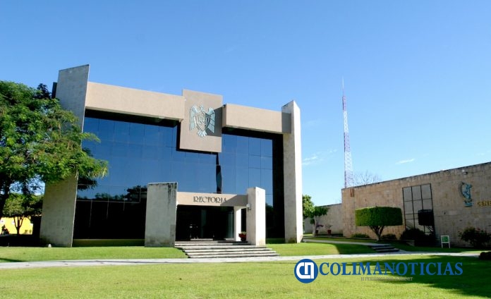 rectoria udec