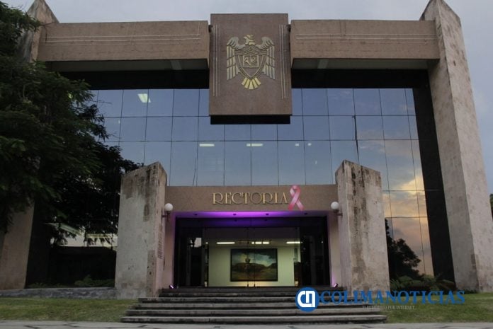 rectoria udec