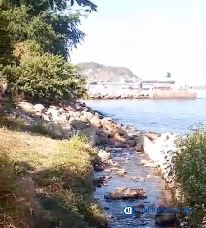Denuncian vertedero de aguas negras a la playa de San Pedrito