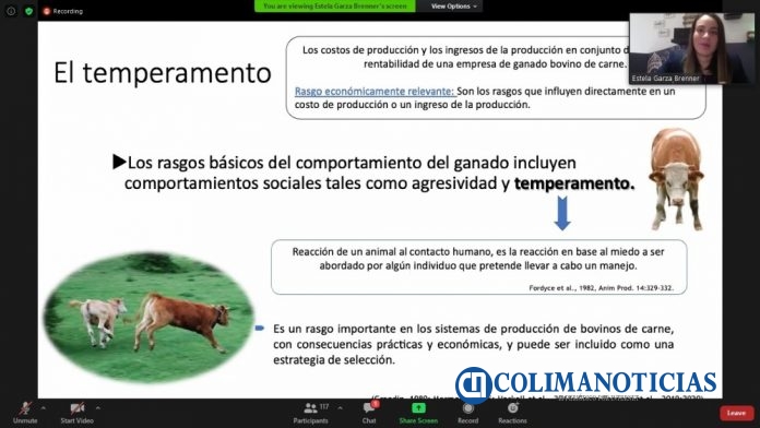 Temperamento de bovinos_Congreso virtual UdeC_a
