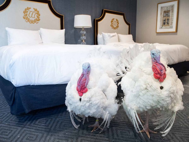 Trump indulta pavo