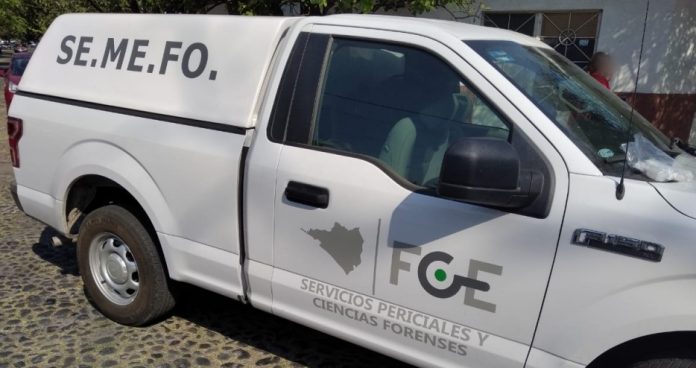 semefo archivo