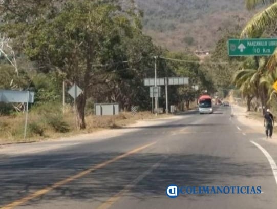 camino en mzllo