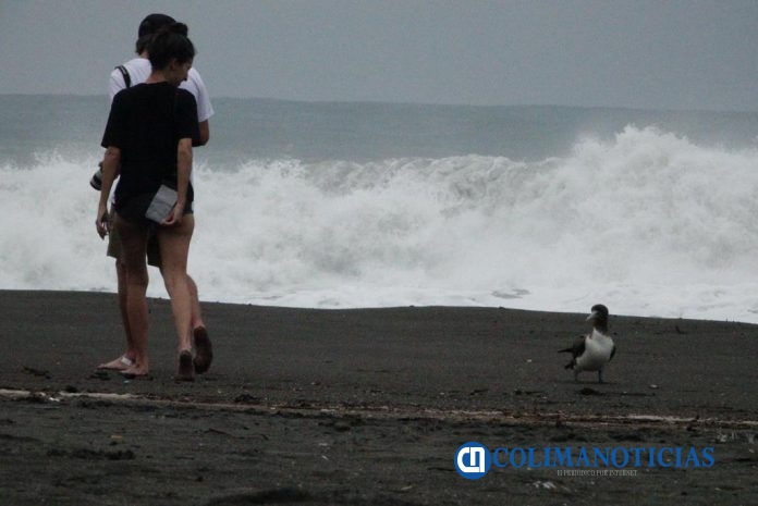 playa de tecoman