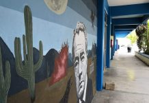 CEDART ‘Juan Rulfo’ arranca año con proyecto virtual de orientación vocacional